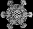 Flake