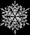 Flake