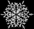 Flake