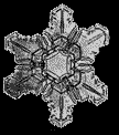 Flake