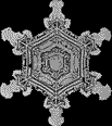 Flake