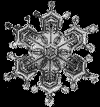 Flake
